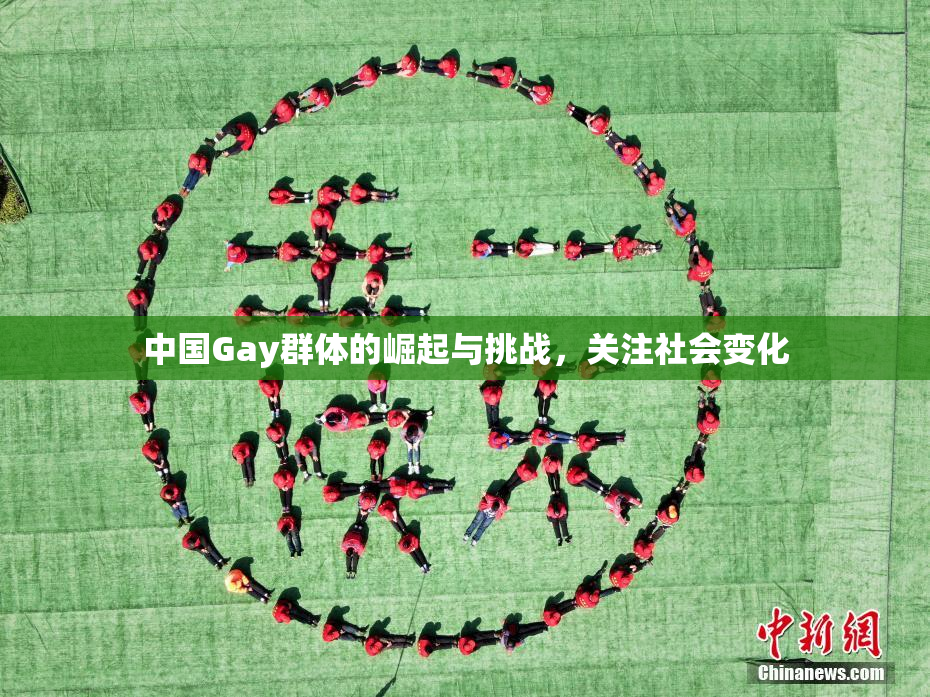中国Gay群体的崛起与挑战，关注社会变化