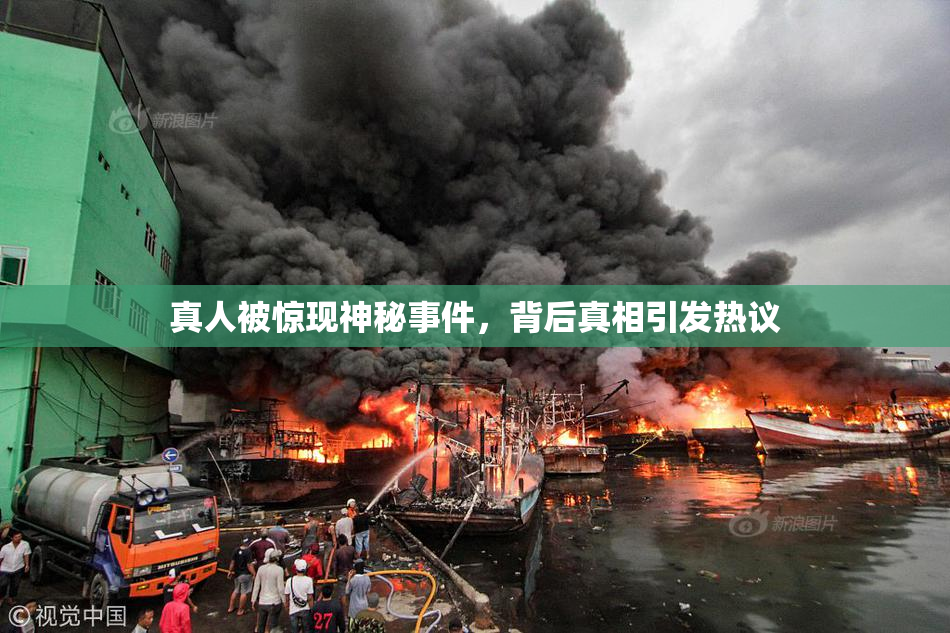 真人被惊现神秘事件，背后真相引发热议