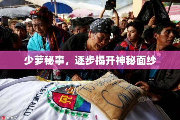 少萝秘事，逐步揭开神秘面纱