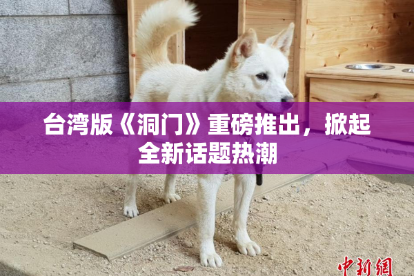 台湾版《洞门》重磅推出，掀起全新话题热潮