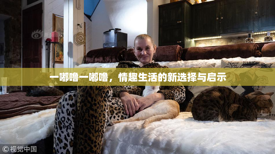 一嘟噜一嘟噜，情趣生活的新选择与启示
