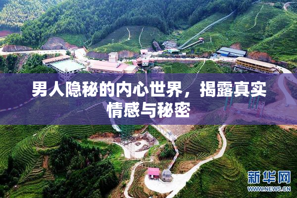 男人隐秘的内心世界，揭露真实情感与秘密