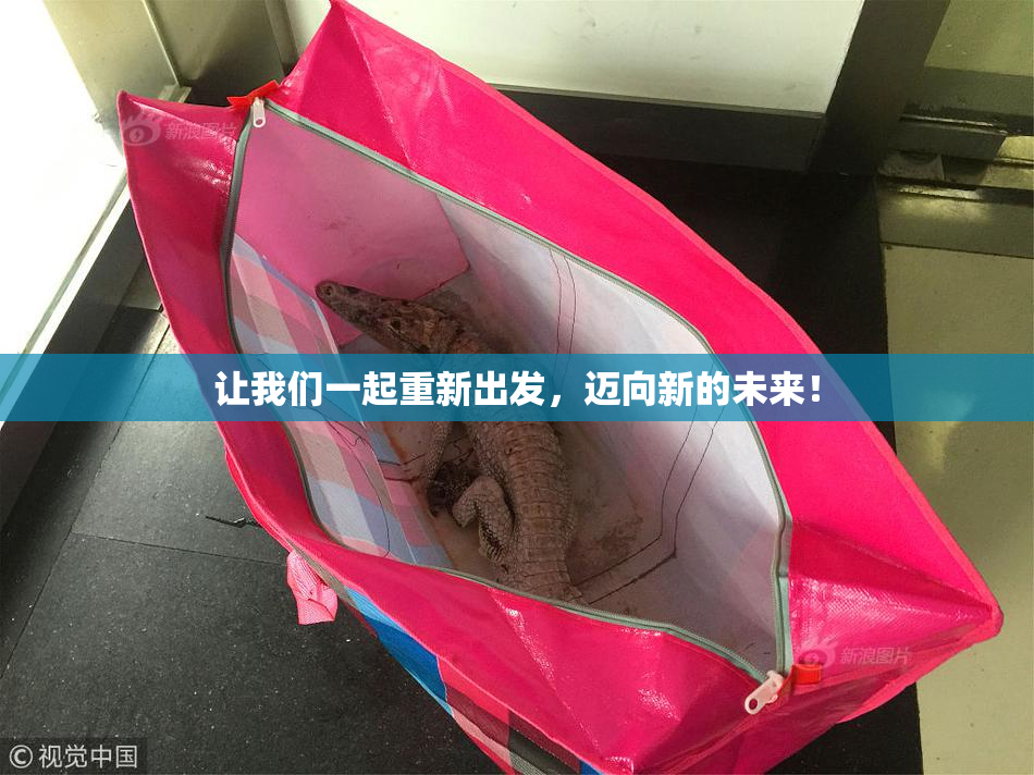 让我们一起重新出发，迈向新的未来！