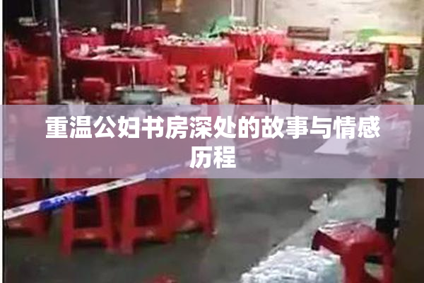 重温公妇书房深处的故事与情感历程