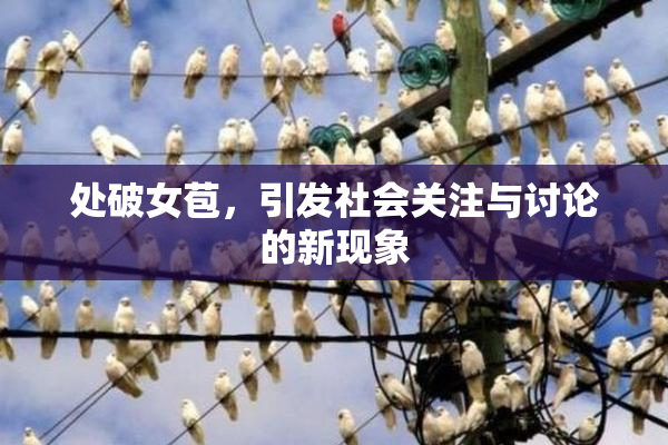 处破女苞，引发社会关注与讨论的新现象