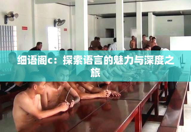 细语阁c：探索语言的魅力与深度之旅