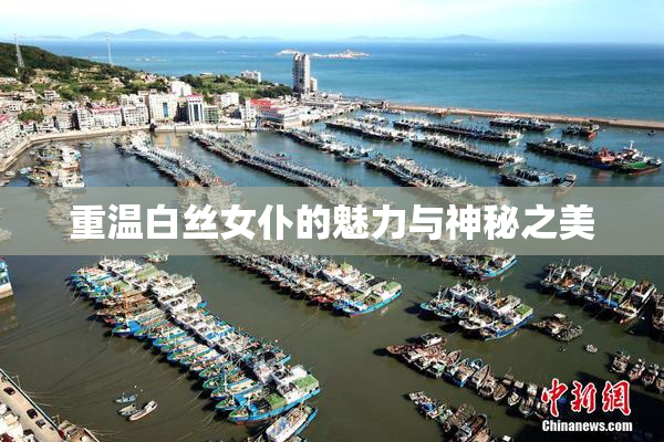 重温白丝女仆的魅力与神秘之美
