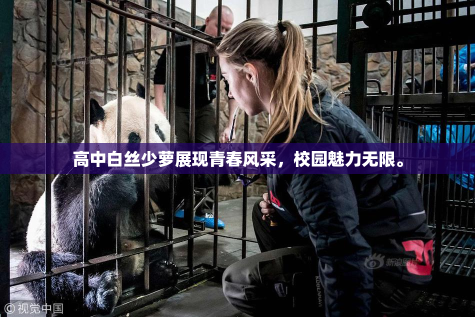 高中白丝少萝展现青春风采，校园魅力无限。