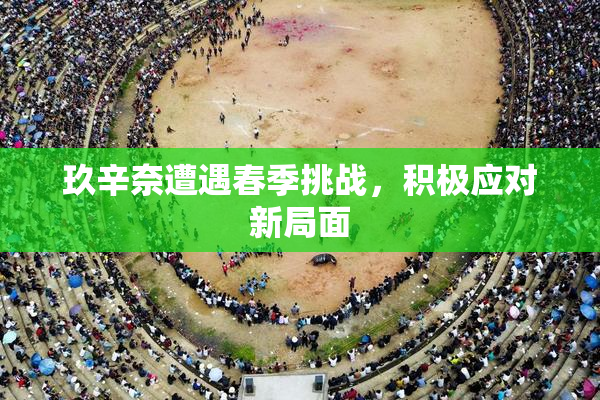 玖辛奈遭遇春季挑战，积极应对新局面