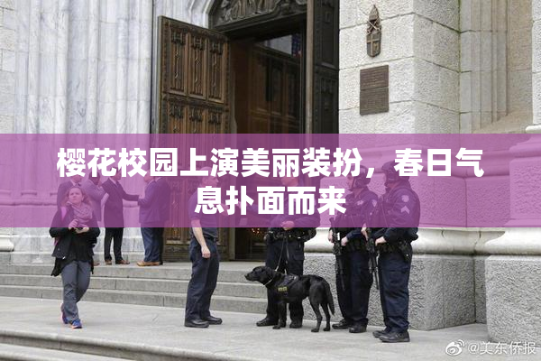 樱花校园上演美丽装扮，春日气息扑面而来
