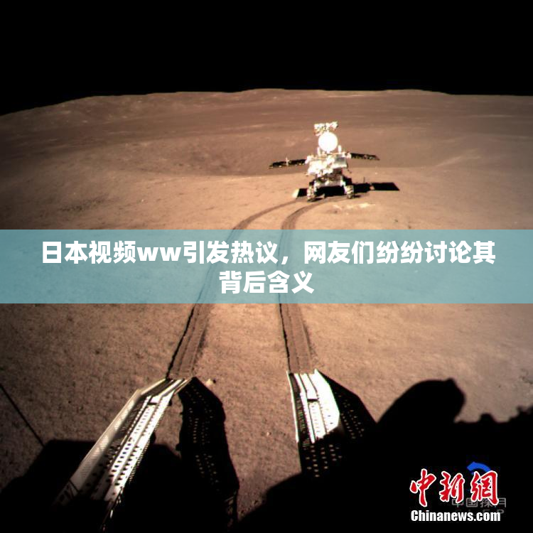 日本视频ww引发热议，网友们纷纷讨论其背后含义