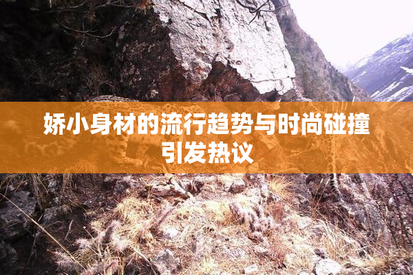 娇小身材的流行趋势与时尚碰撞引发热议