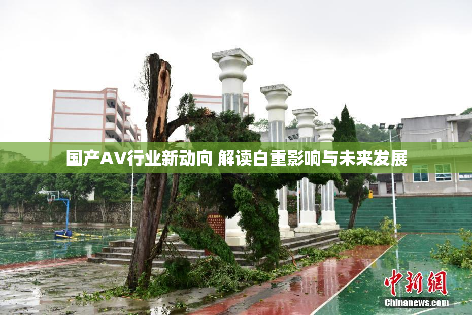 国产AV行业新动向 解读白重影响与未来发展