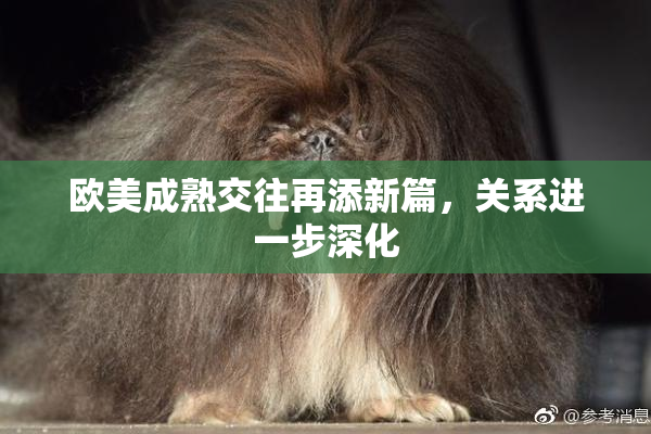 欧美成熟交往再添新篇，关系进一步深化