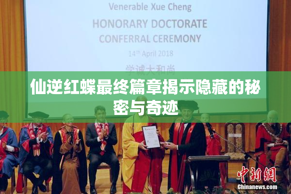 仙逆红蝶最终篇章揭示隐藏的秘密与奇迹