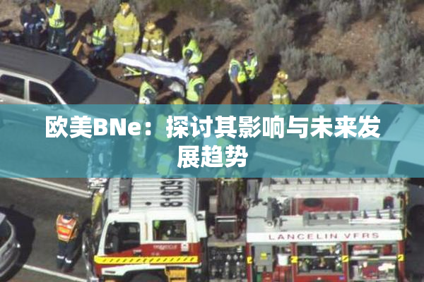 欧美BNe：探讨其影响与未来发展趋势