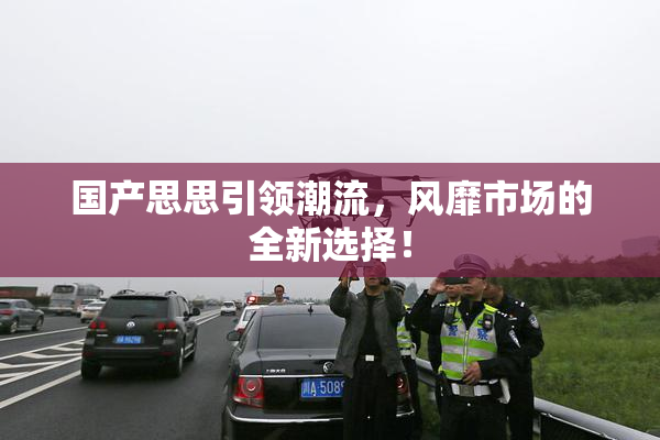 国产思思引领潮流，风靡市场的全新选择！