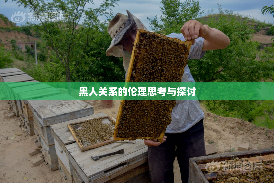 黑人关系的伦理思考与探讨
