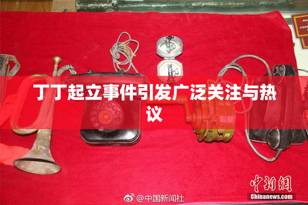 丁丁起立事件引发广泛关注与热议