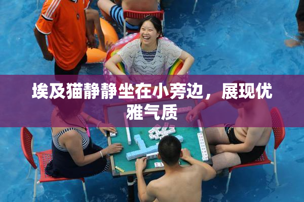 埃及猫静静坐在小旁边，展现优雅气质