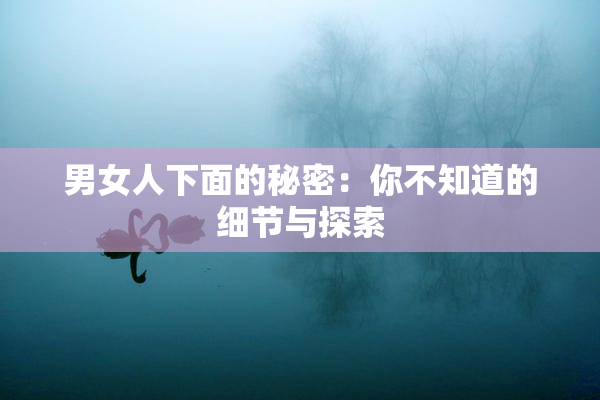 男女人下面的秘密：你不知道的细节与探索