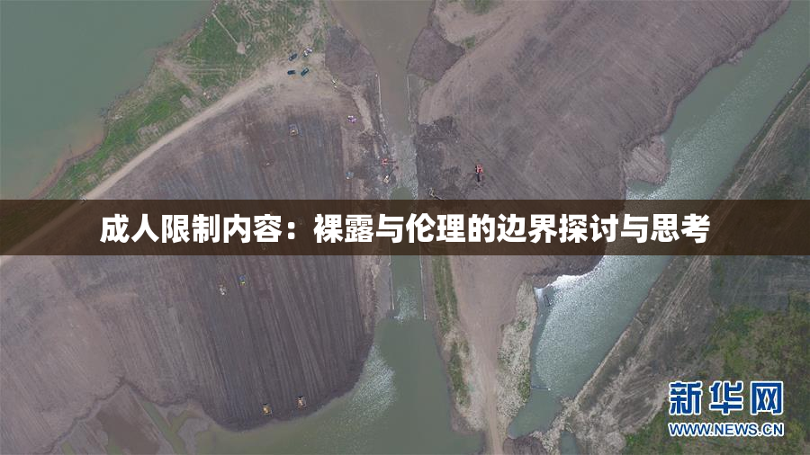 成人限制内容：裸露与伦理的边界探讨与思考