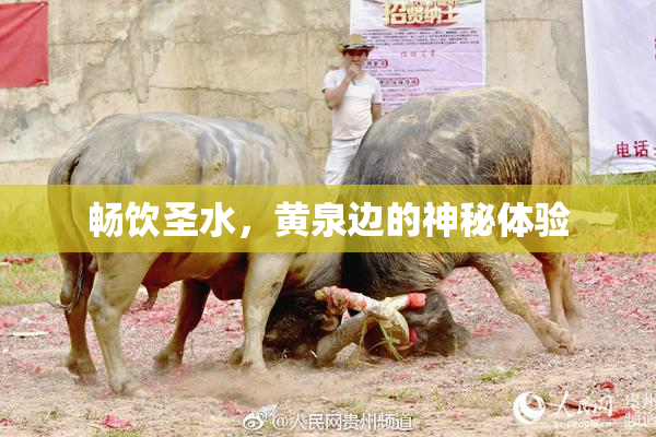 畅饮圣水，黄泉边的神秘体验