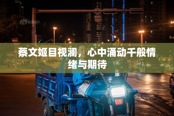蔡文姬目视澜，心中涌动千般情绪与期待