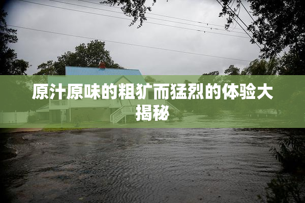 原汁原味的粗犷而猛烈的体验大揭秘