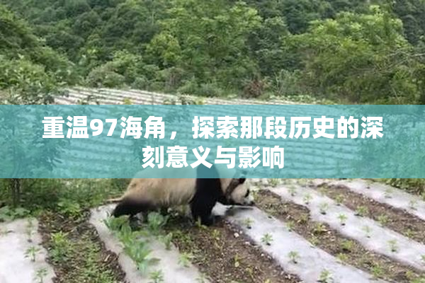 重温97海角，探索那段历史的深刻意义与影响