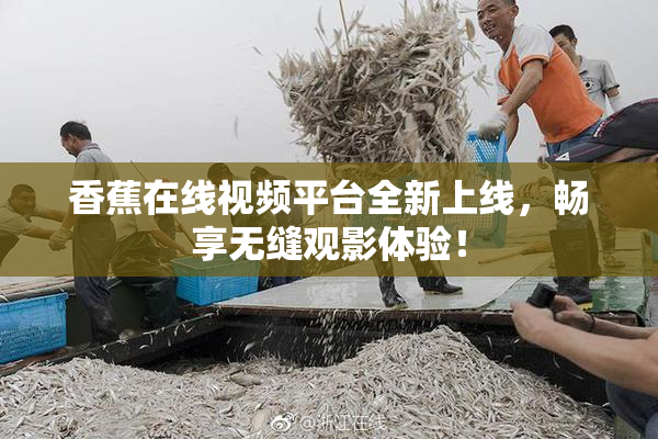 香蕉在线视频平台全新上线，畅享无缝观影体验！