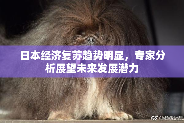 日本经济复苏趋势明显，专家分析展望未来发展潜力