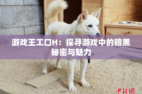 游戏王工口H：探寻游戏中的暗黑秘密与魅力