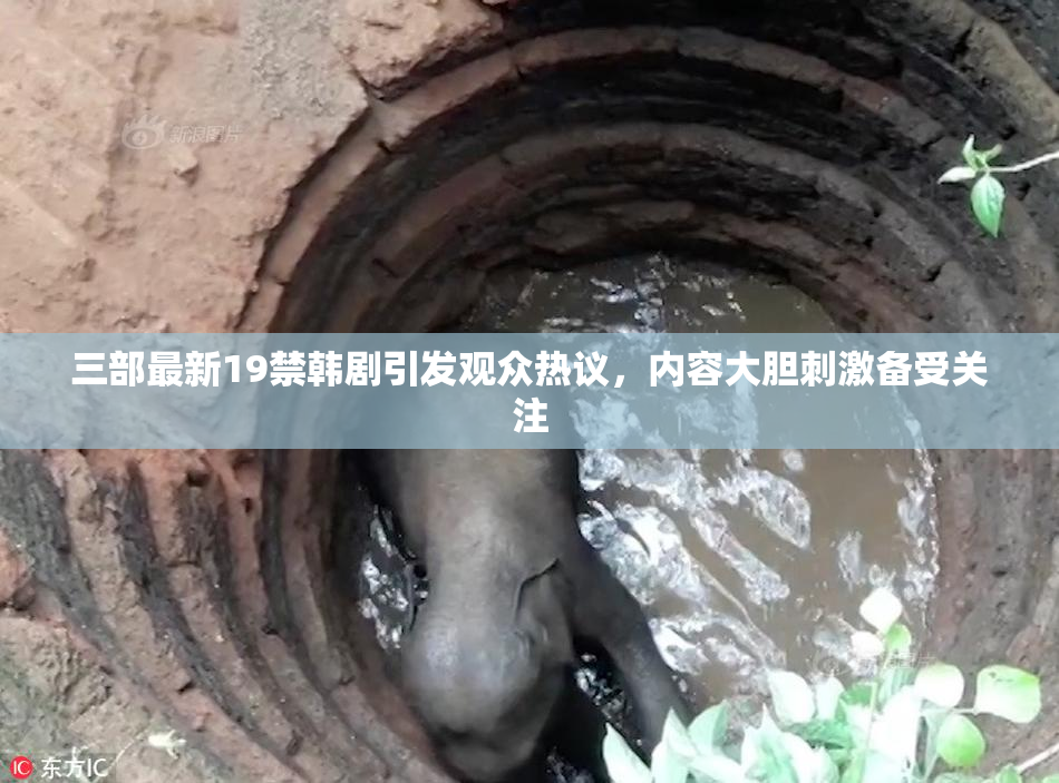 三部最新19禁韩剧引发观众热议，内容大胆刺激备受关注