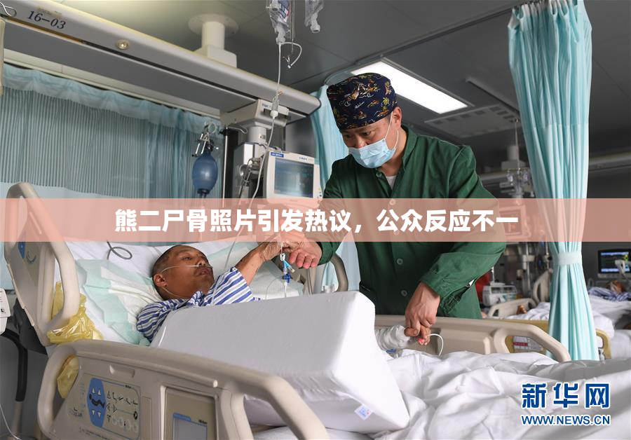 熊二尸骨照片引发热议，公众反应不一
