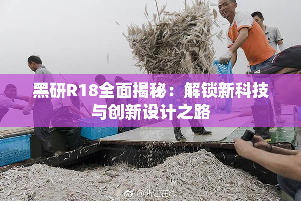 黑研R18全面揭秘：解锁新科技与创新设计之路