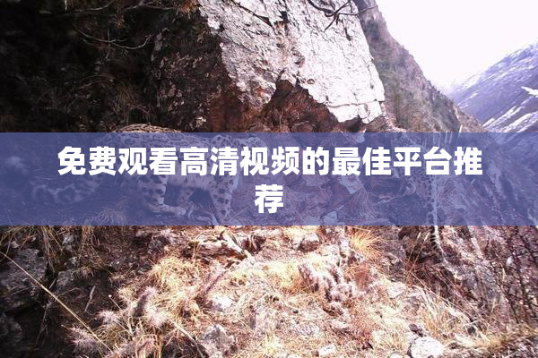 免费观看高清视频的最佳平台推荐