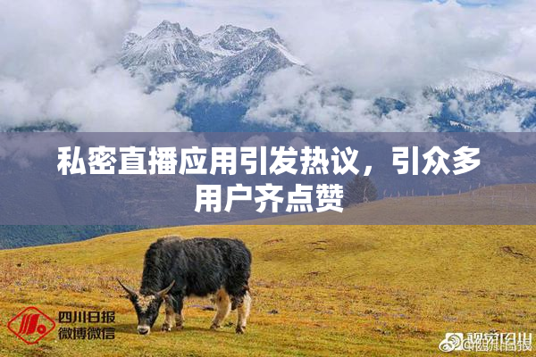 私密直播应用引发热议，引众多用户齐点赞