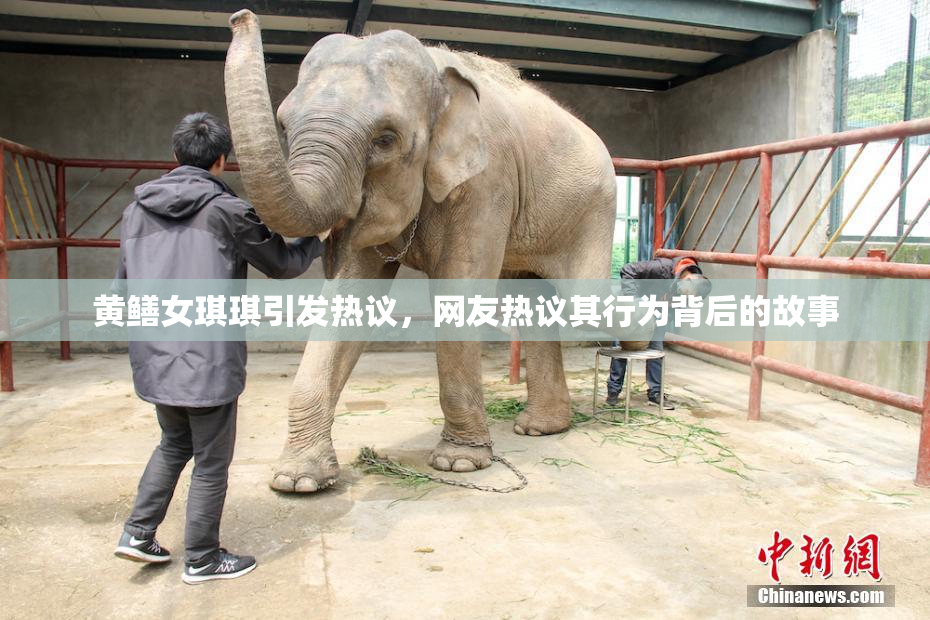 黄鳝女琪琪引发热议，网友热议其行为背后的故事