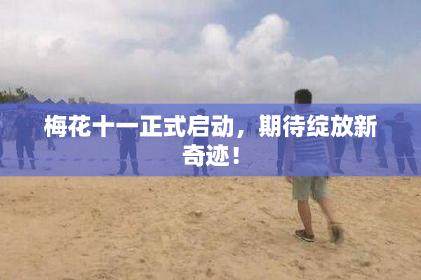 梅花十一正式启动，期待绽放新奇迹！