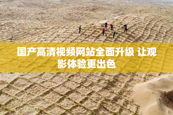 国产高清视频网站全面升级 让观影体验更出色
