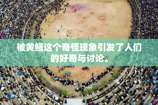 被黄鳝这个奇怪现象引发了人们的好奇与讨论。