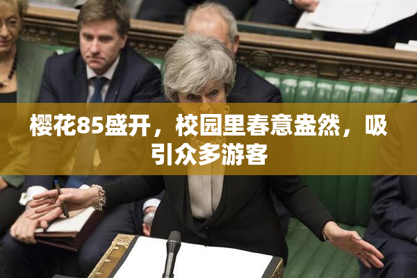 樱花85盛开，校园里春意盎然，吸引众多游客