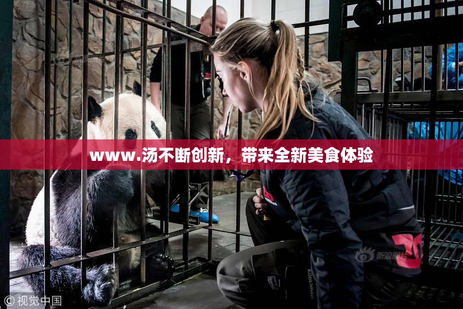 www.汤不断创新，带来全新美食体验