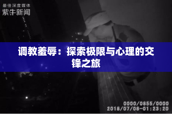 调教羞辱：探索极限与心理的交锋之旅