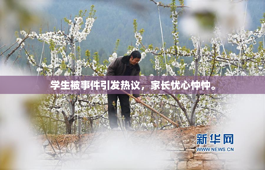 学生被事件引发热议，家长忧心忡忡。