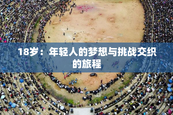 18岁：年轻人的梦想与挑战交织的旅程
