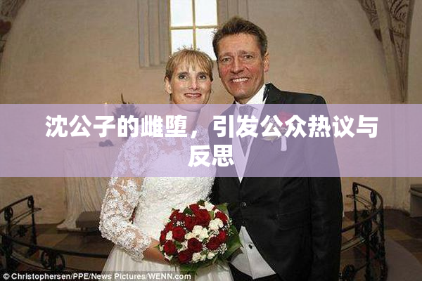 沈公子的雌堕，引发公众热议与反思