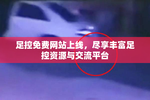 足控免费网站上线，尽享丰富足控资源与交流平台