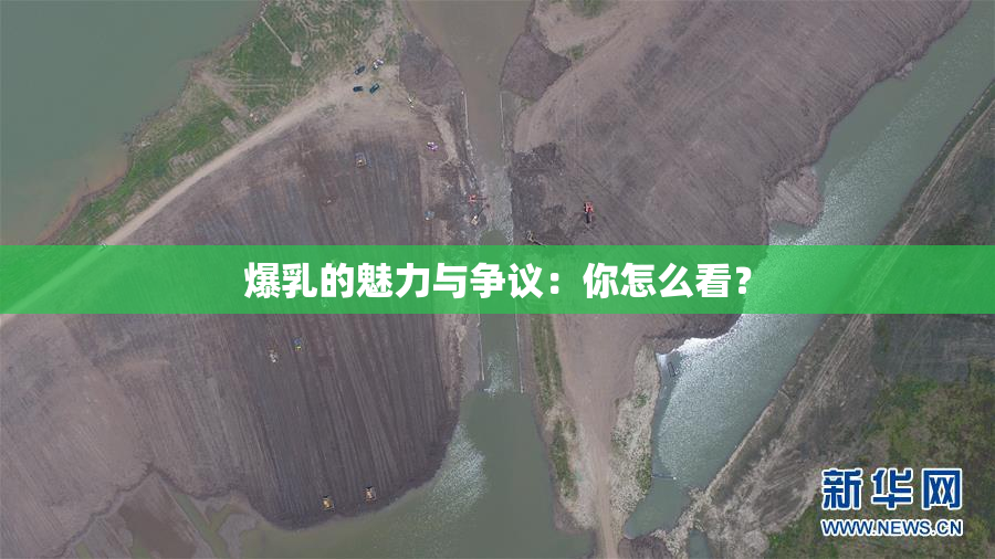 爆乳的魅力与争议：你怎么看？